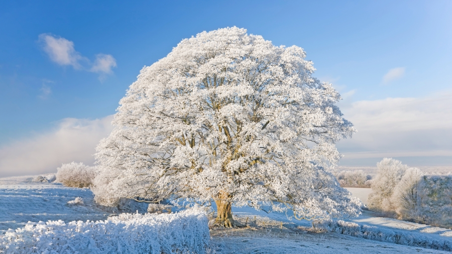 霜雪覆盖下的科茨沃尔德、英格兰 