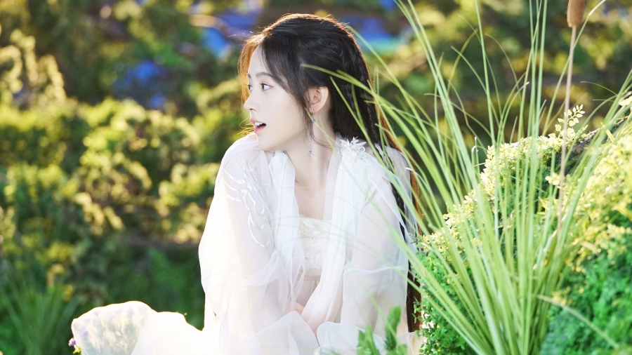 清纯美女森林绿写真、2019新白娘子传奇女主鞠婧祎、白色长裙的4k美女壁纸