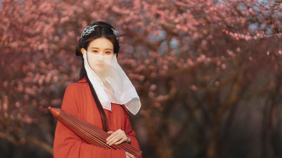 小清新春天花海中的唯美壁纸、古风古装美女戴着白色面纱的4k电脑美女壁纸