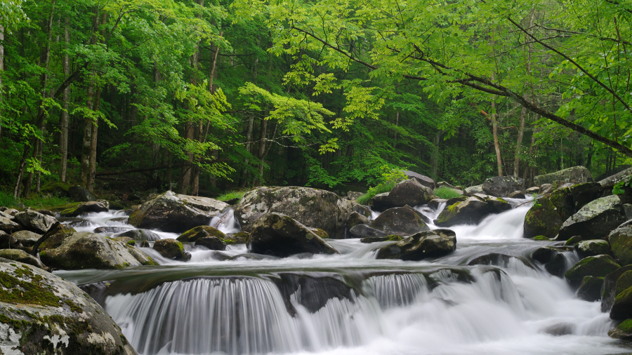 小鸽子河，大雾山国家公园，田纳西州, 美国 