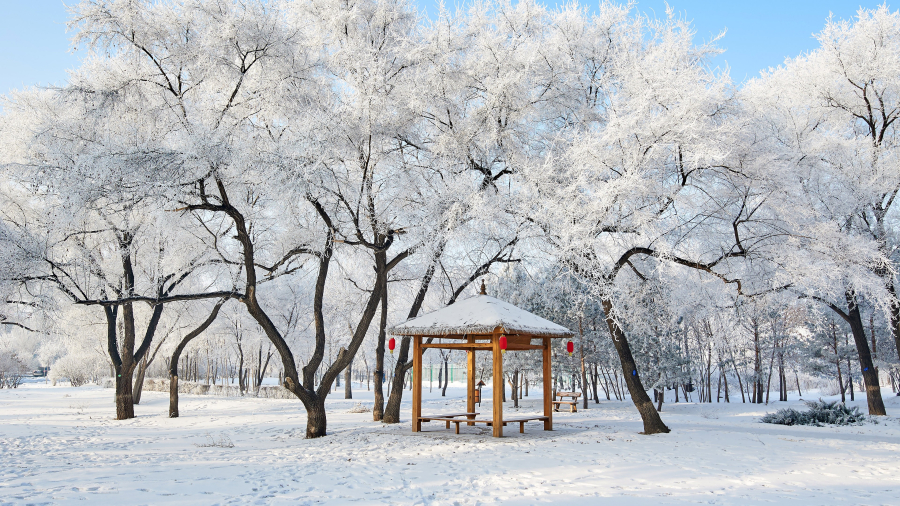 美丽的雾凇景色，大庆市，黑龙江省，中国 